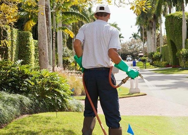 About Bethel NY Pest Control